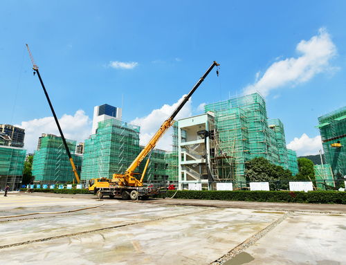 明珠小學(xué)改擴(kuò)建工程有序推進(jìn)，景觀工程為校園增添新氣象